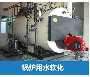 0.5噸(500L)每小時出力全自動軟水器