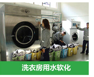 8噸/小時(shí)軟化水設(shè)備