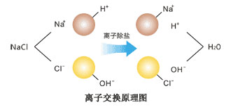 陰離子交換器 陰離子交換器